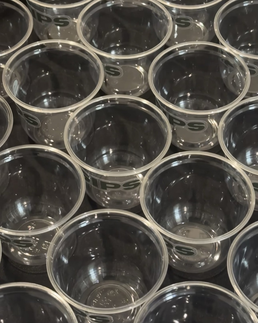 Rows of empty SIPS cups lined up, ready for guests